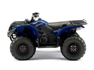 Grizzly 450 ― Active-kuban, Goods for tourism, recreation and sport